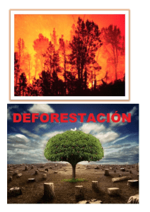Deforestacion.- Causas / consecuencias / solución