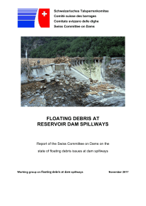 2017 Floating debris