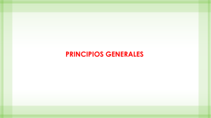 1. Principios generales