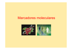337287368-Marcadores-Moleculares