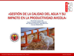 Gestión de calidad de agua y su impacto en la productividad avicola