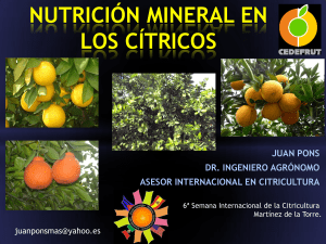 Manejo y cultivo de los cítricos, nutrición y fisiología