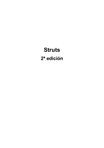 Struts 2a edicion