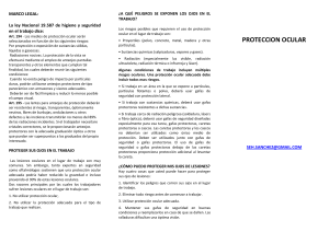 TRIPTICO DE CAPACITACION EN PROTECCION OCULAR. LEGISLACION ARGENTINA.