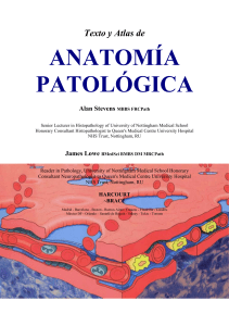 Texto y Atlas de ANATOMIA PATOLOGICA