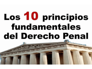 10 PPIOS FUNDAMENTALES DERECHO PNAL