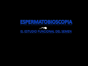 espermatobioscopia-160207233335