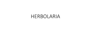 HERBOLARIA