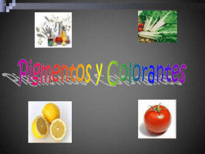 SEM 16 -pigmentos vegetales