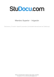 miembro-superior-irrigacion