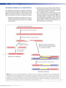 lectura transcripción