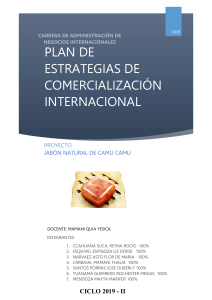 Revisado T5 - Jabon Plan de marketing CORREGIDO