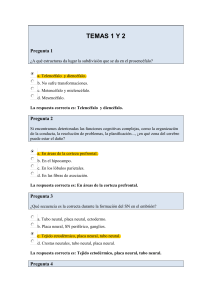 CUESTIONARIOS NEURO