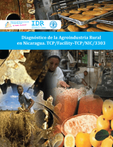 Diagn&oacute;stico Agroindustria Rural Nicaragua