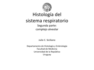 Aparato respiratorio (4).pdf