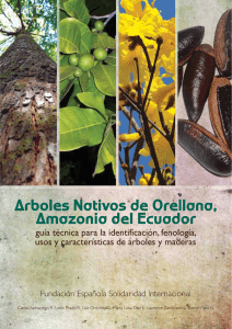 Arboles-nativos-de-orellana-amazonia-del-ecuador