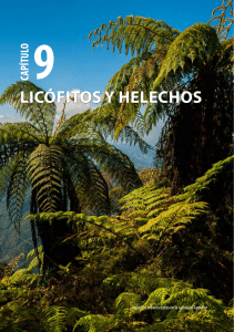 134-151 Libro Biodiversidad Cuba Capítulo 9 (1)