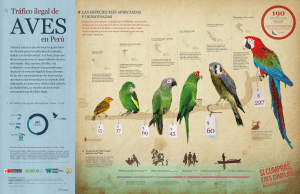 Infografía-Aves-web