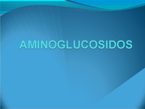 aminoglucosidos3ermes-140617131707-phpapp02-convertido