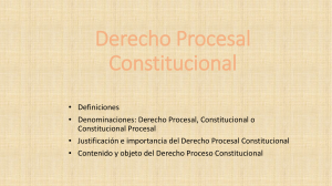 Derecho Procesal Constitucional[212]