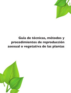 Guía-de-técnicas-métodos-y-procedimientos-de-reproducción-asexual-o-vegetativa-de-las-plantas