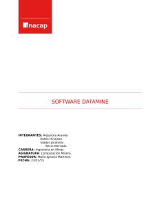 Software-Datamine