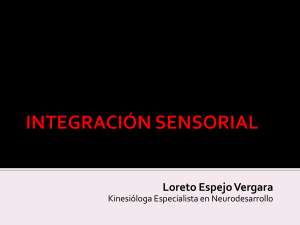 INTEGRACION SENSORIAL-FINIS-2019-parte-1