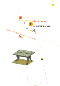 REE - Campos electricos y magneticos 2001