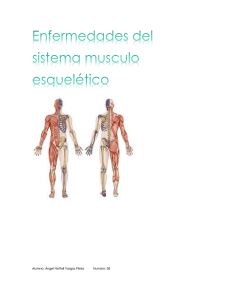 Enfermedades del sistema musculo esquelético