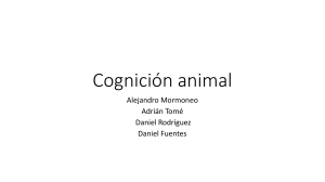 Cognición animal