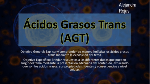 Ácidos Grasos Trans (AGT)