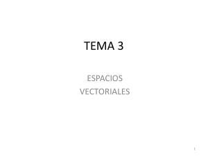 TEMA 3. Espacios Vectoriales