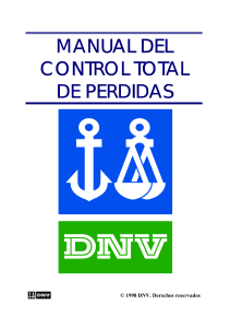 Manual de control de perdidas DNV