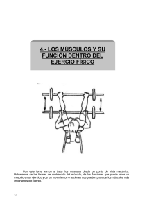 4.- LOS MÚSCULOS Y SU FUNCIÓN DENTRO DEL EJERCIO FÍSICO - PDF
