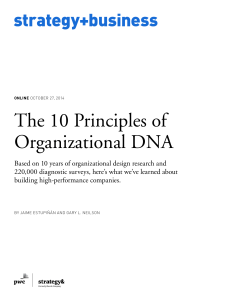 10-Principles-of-Organizational-DNA