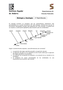 B1 Ejercicios cladogramas examen