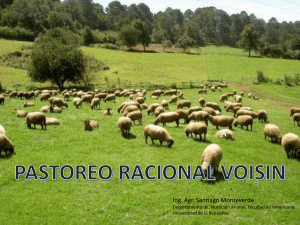 Pastoreo Racional Voisin - presentation