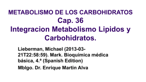 6.-integracion lipidos y carbohidratos