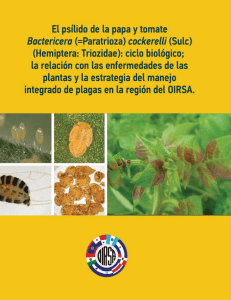 Manual Bactericera Cockerelli version 1.3