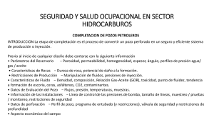 SEGURIDAD Y SALUD OCUPACIONAL EN SECTOR HIDROCARBUROS