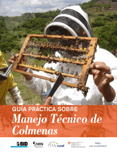 Gu&iacute;a Pr&aacute;ctica: Manejo T&eacute;cnico de Colmenas