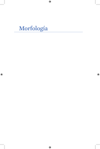 Morfología NGLE