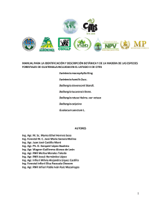 Manual de identificación de especies forestales CITES Guatemala2