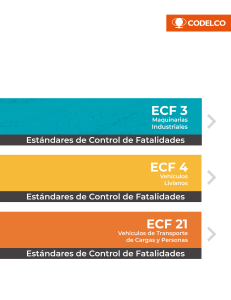 estandares control de fatalidades  ecf  codelco
