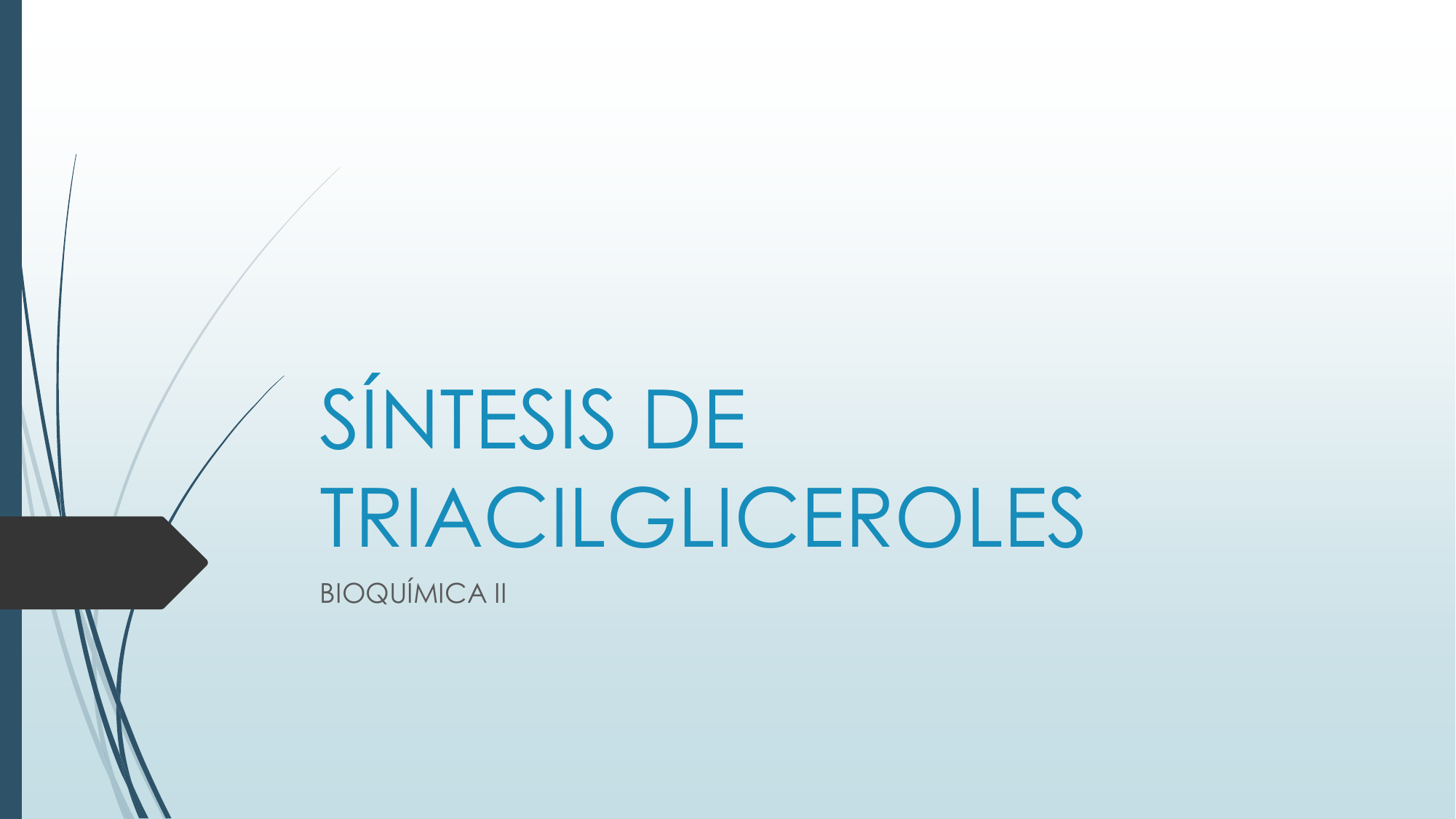 SÍntesis De Triacilgliceroles 5000