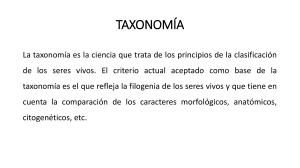 1.- presentacion taxonomia