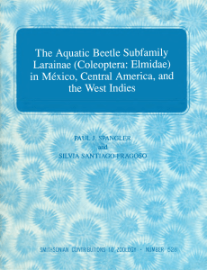 The Aquatic Beetle Subfamily
