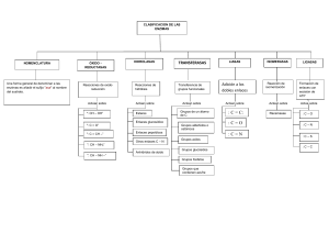 Clasificaci&oacute;n de Enzimas: Diagrama de Flujo y Nomenclatura