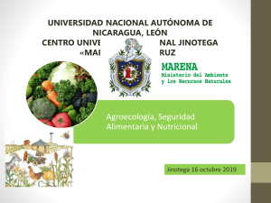 Agroecología y su aporte a la seguridad alimentaria nutricional