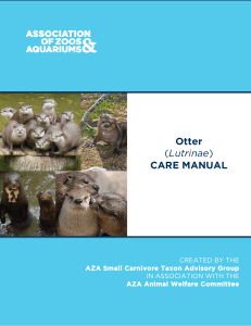 otter care manual2